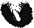 Black Guard Wings