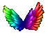 Rainbow Wings