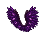 Rowte Purple Wings
